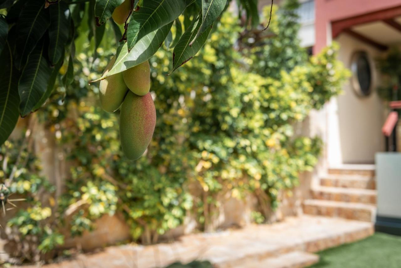 Comfortable 4-Bedroom Villa With Private Gardens 阿德耶 外观 照片